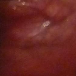 Dethcentrik : Society's Whores